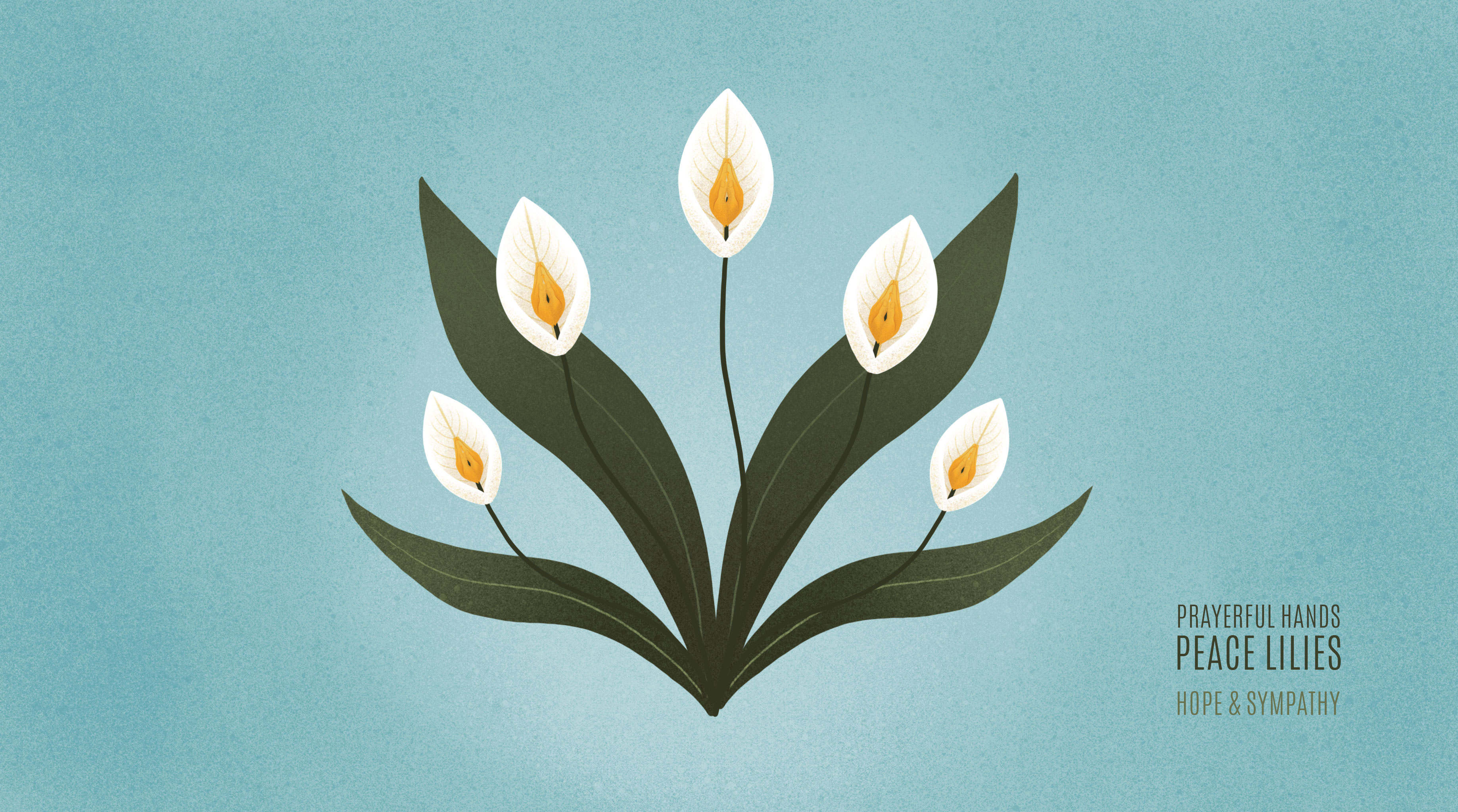 Anywhere Altar — peace lily plant symbolism within the AR altar