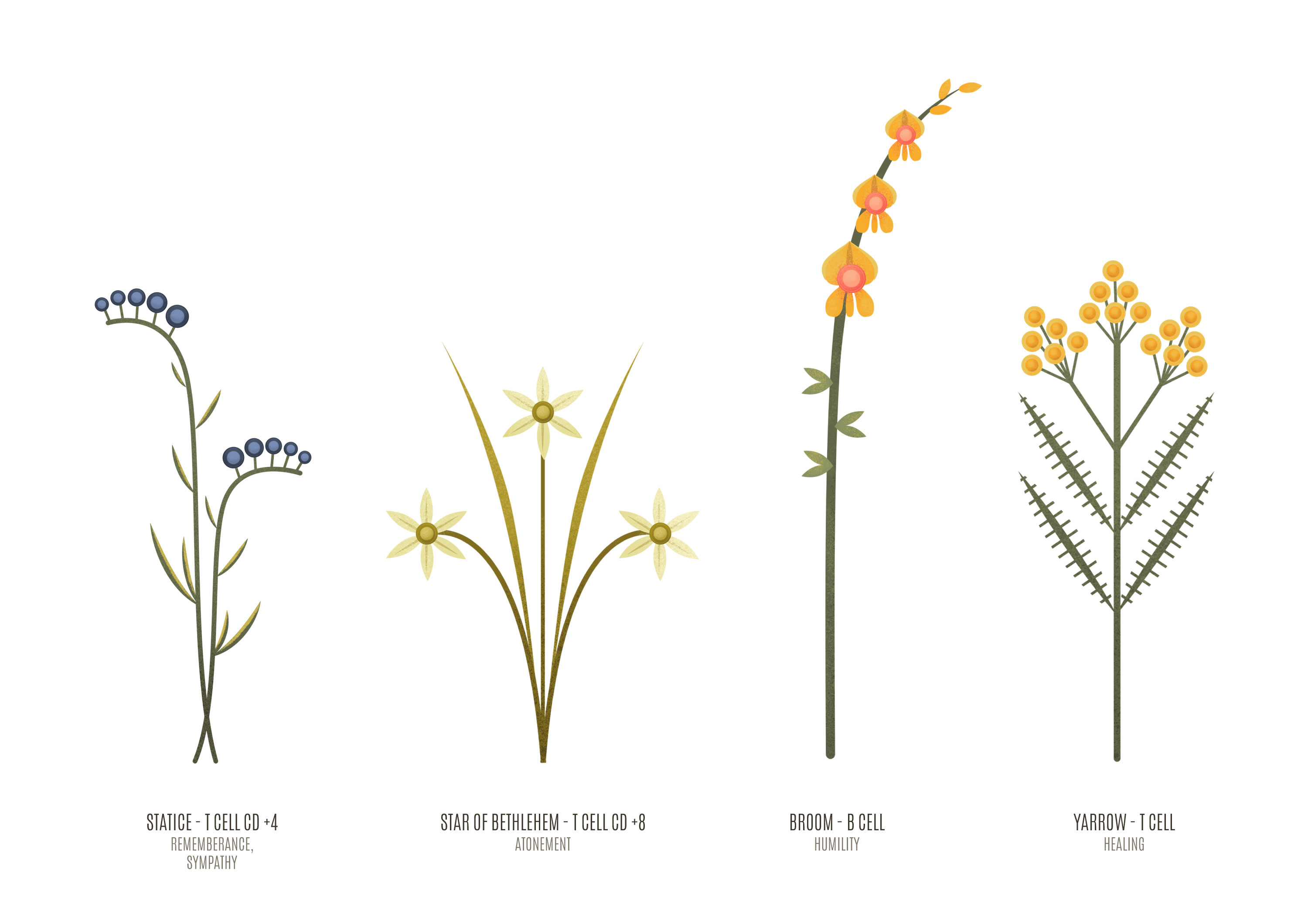Anywhere Altar — plant planning diagram showing symbolic layout of the altar flora