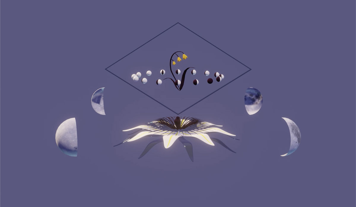 Full Moon Series — flower moon AR landscape, horizontal view