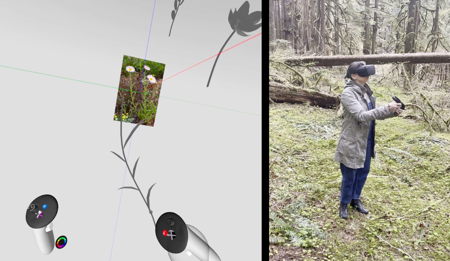 Endangered plants revealed in augmented reality