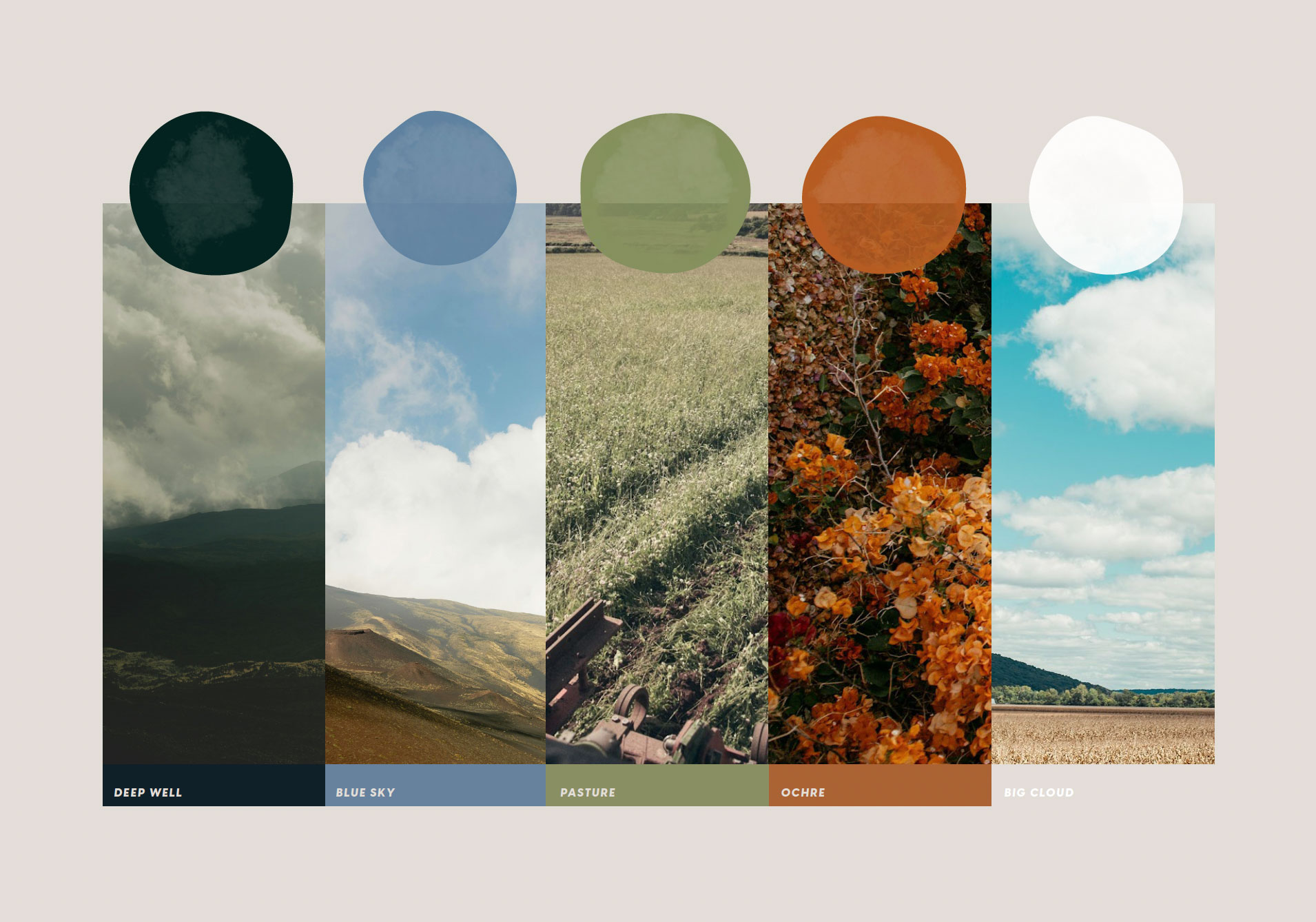 Tractor Beverage color palette — ingredient-inspired colors including citrus, hibiscus, mint, and earthy greens